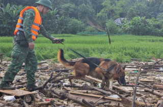 Kỳ tích, tìm thấy 2 hộ dân với 8 nhân khẩu chạy thoát an toàn trong lũ quét kinh hoàng Làng Nủ