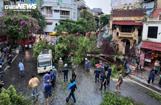 Hà Nội miễn giảm thuế cho người bị ảnh hưởng của bão Yagi