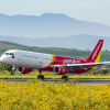 Vietjet mở lại loạt đường bay đến Đà Nẵng, Đà Lạt, Phú Quốc, Cần Thơ phục vụ người dân và du khách