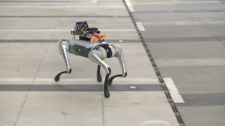 Robot nhảy múa, biểu diễn võ thuật gây sốt mạng xã hội Trung Quốc