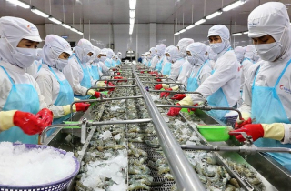 Mỹ áp thuế 46%: Doanh nghiệp Việt không nên hoảng loạn