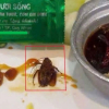 Thực khách phát hiện gián trong món ăn của một nhà hàng có tiếng tại Quy Nhơn