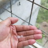 Bão Wipha đang ngoài khơi, Quảng Ninh đã xuất hiện mưa đá, gió giật mạnh