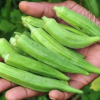 Loại 'nhân sâm xanh' rẻ tiền giúp đẹp da, giảm cân, bảo vệ tim mạch