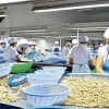 Mỹ áp thuế 20% với hàng Việt Nam: Doanh nghiệp, chuyên gia kỳ vọng giảm thêm