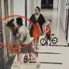 Bắt giữ gã đàn ông xăm trổ hành hung phụ nữ tại chung cư Hà Nội