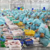 Gia tăng phòng vệ thương mại, hàng hóa Việt đối mặt nhiều thách thức