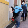 Ứng dụng công nghệ ‘muỗi ăn muỗi’ để diệt dịch chikungunya