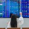 VN-Index lại đạt đỉnh cao chưa từng có