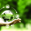 Việt Nam sẵn sàng bước vào thị trường carbon toàn cầu?