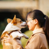 Nhà ngoại cảm 'dỏm' vớ bẫm với dịch vụ giao tiếp với linh hồn thú cưng