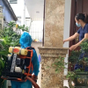 Sở Y tế TP Huế đề nghị người dân không tẩy chay thịt lợn