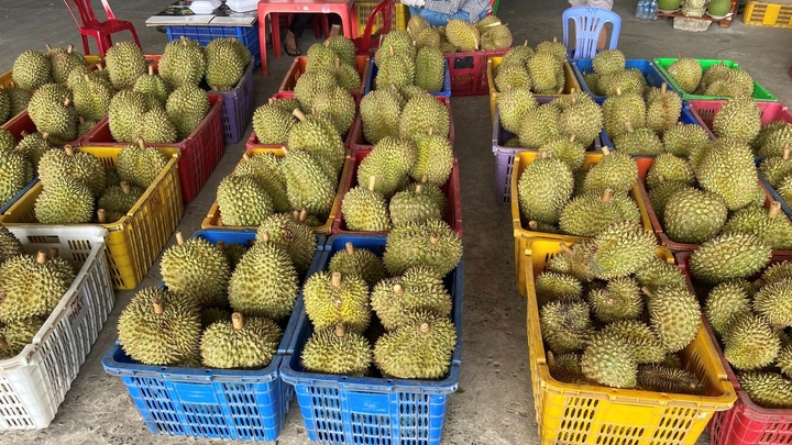 Sầu riêng rẻ chưa từng có được bán la liệt: Bài học tăng trưởng 'nóng'