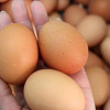 Ăn trứng kiểu này sẽ gây hại cơ thể