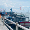 Miền Trung cấp tập chống bão Kajiki