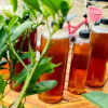 Thử ngay mẹo nhỏ với cốc nước để biết mật ong xịn hay pha đường