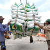 Giá gạo Việt có chịu ảnh hưởng bởi lệnh tạm dừng nhập khẩu của Philippines?