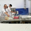 Dịch tả toàn cầu diễn biến phức tạp, Bộ Y tế triển khai khẩn công tác phòng chống bệnh tả