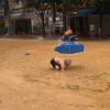 Đường phố Lào Cai ngập sâu sau mưa lớn