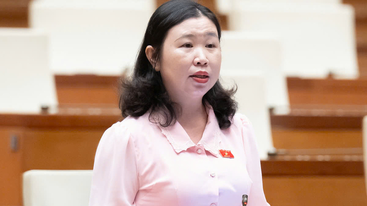 Vụ Vạn Thịnh Phát khối lượng công việc lớn, giám định 3 tháng là 'bất khả thi'