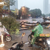 Chuyên gia: Hoàn lưu bão số 11 rộng, chưa đổ bộ vẫn có thể xuất hiện dông lốc
