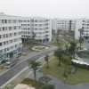 Hơn 82.000 căn nhà ở xã hội dự kiến hoàn thành trong năm nay