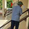 Hải Phòng, Quảng Ninh cho học sinh học trực tuyến tránh bão số 11