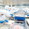 Xuất nhập khẩu bứt tốc, hướng tới cột mốc 900 tỷ USD