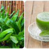 Nước lá mùi tàu có tác dụng chữa bệnh gì?
