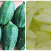Ăn đu đủ xanh thường xuyên có tác dụng gì?