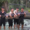 Cá tầm 50kg được nuôi dưỡng 15 năm sắp xuất hiện tại Hà Nội