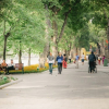 Bắc Bộ sáng có mưa nhỏ vài nơi, trưa chiều hửng nắng