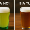 Bia hơi khác gì với bia tươi?