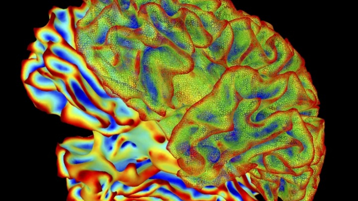 Công nghệ đột phá: Trí tuệ nhân tạo đọc được suy nghĩ con người