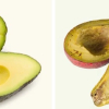 Có nên ăn phần thịt quả bơ đã chuyển sang màu nâu?