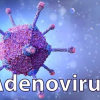 Nhận biết sớm triệu chứng nhiễm vi rút Adeno