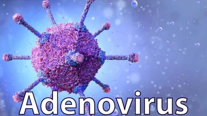 Nhận biết sớm triệu chứng nhiễm vi rút Adeno