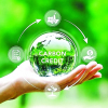 Thị trường carbon: Từ chính sách đến hành động