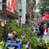 Chợ hoa Hàng Lược: Điểm hẹn Tết giữa lòng phố cổ
