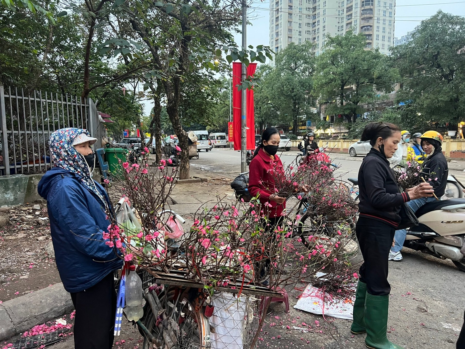 Bà Nguyễn Thị Tú, phường Dương Nội ngậm ngùi dù giá đào cành rẻ mà vẫn ế hàng. Ảnh: TH