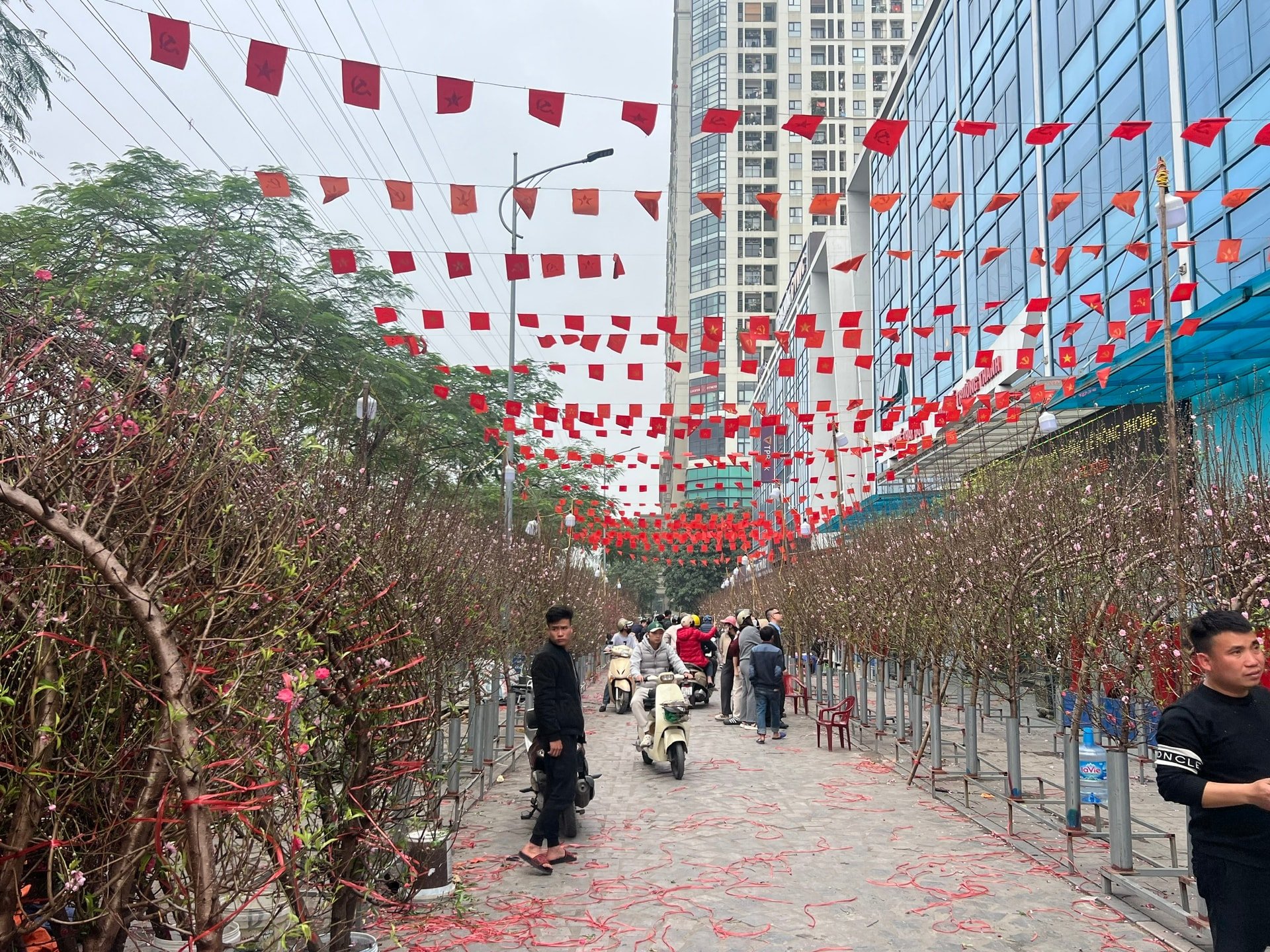 Đào huyền Nhật Tân cành to, nụ dày bán tại khu vực đường Tố Hữu rất ít khách mua. Ảnh: TH