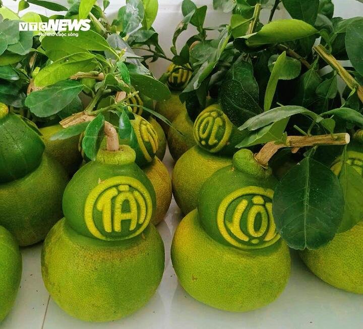 Bưởi tạo hình có giá 300.000 - 1 triệu đồng/quả.