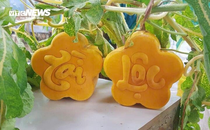 Dưa hấu tạo hình hoa mai là sản phẩm hút khách mùa Tết năm nay.