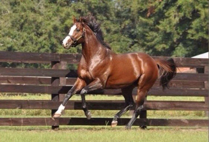 (Ảnh: Sothebysrealty)