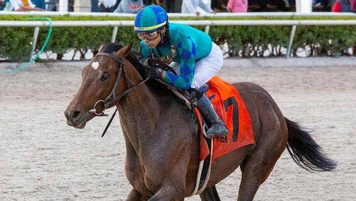 (Ảnh: Sothebysrealty)