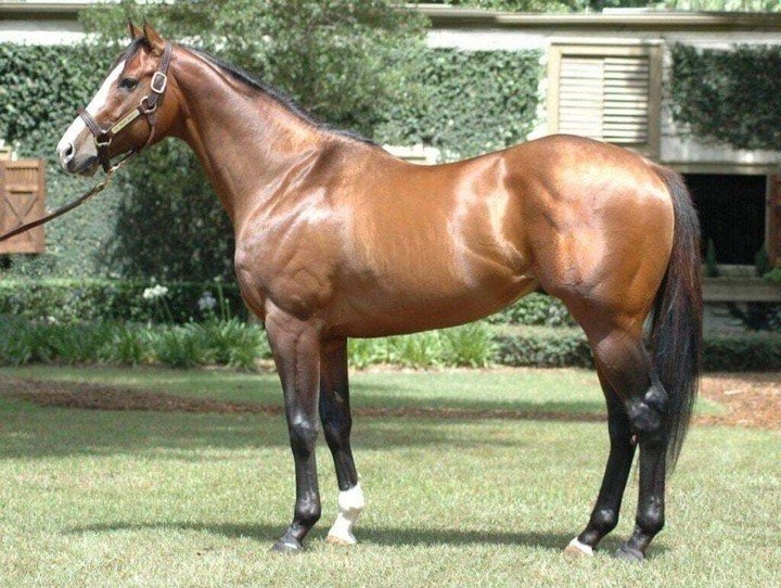 (Ảnh: Sothebysrealty)