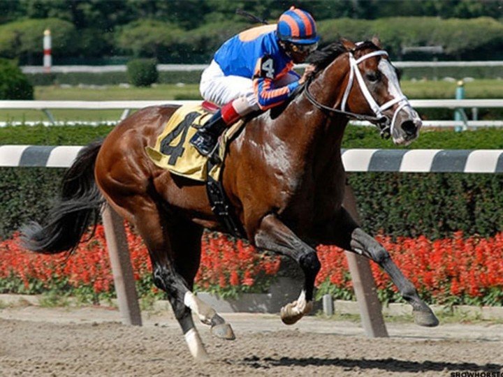 (Ảnh: Sothebysrealty)