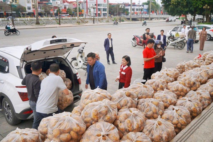 Trong ngày 23/2, lãnh đạo xã Vũ Thư, tỉnh Hưng Yên hỗ trợ bà con nông dân trên địa bàn bán được khoảng 4,5 tấn khoai tây.