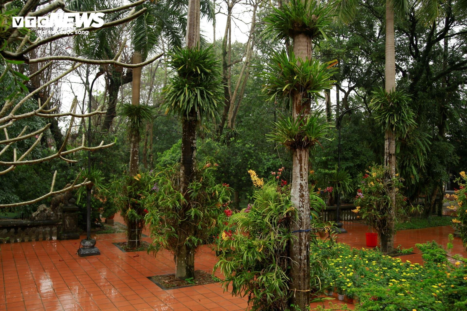 Quốc tự gắn với vị vua thứ 3 triều Nguyễn, có bức tranh rồng lớn nhất Việt Nam - 7