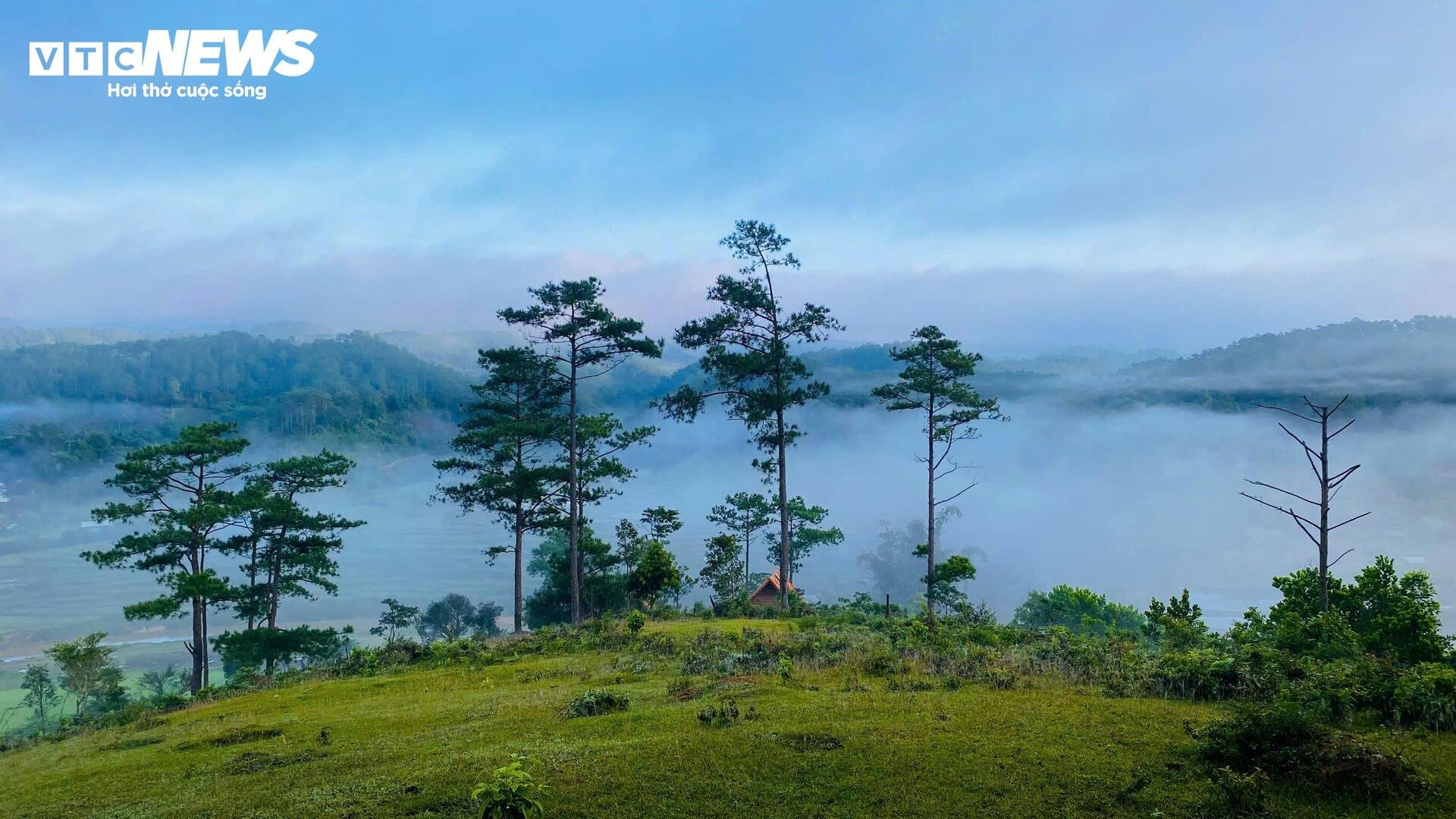 Săn biển mây đầu xuân trên cao nguyên Măng Đen - 3